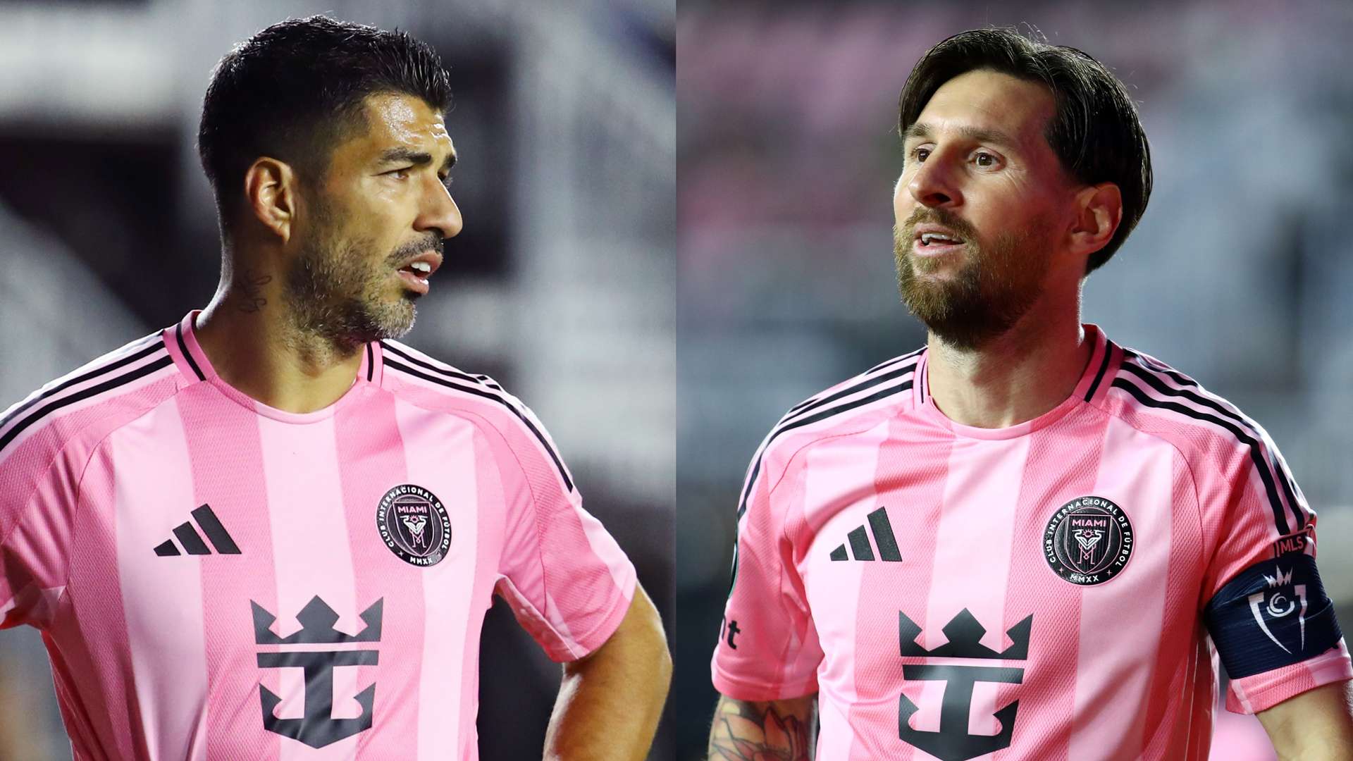 范围内进行 范围内进行