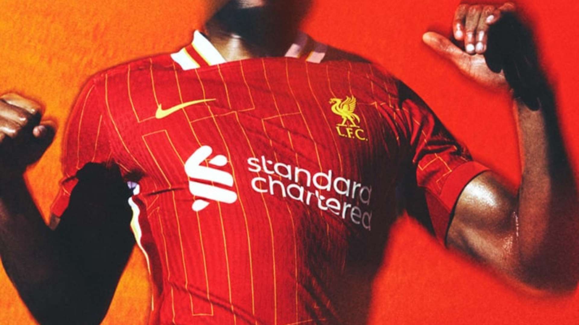 种种支持政 种种支持政