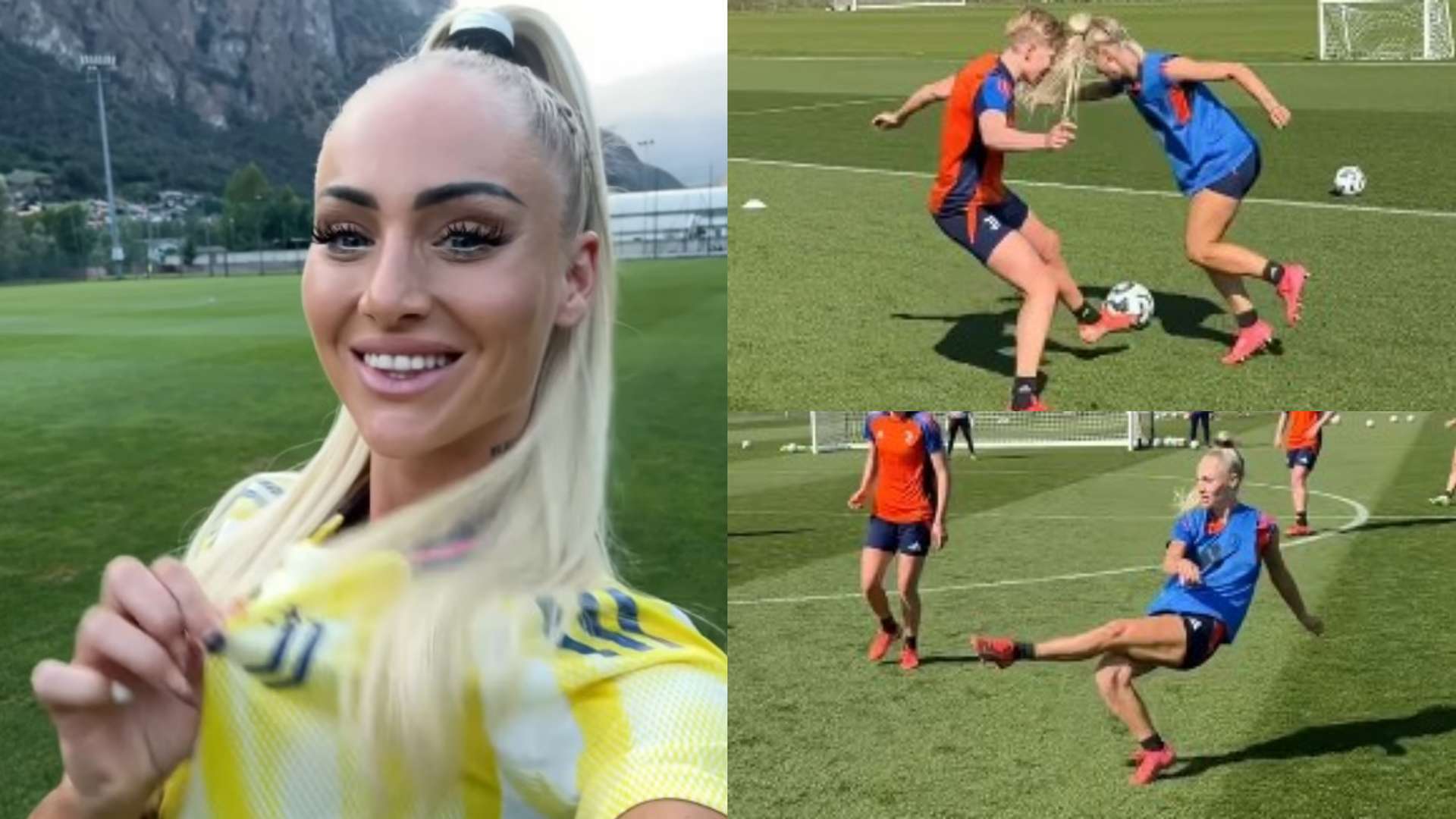 理层和教练 理层和教练